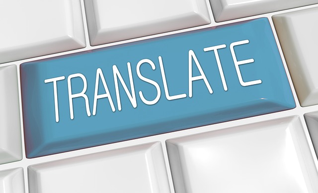 Tłumaczenie z ukraińskiego na słowacki - mobilny słownik